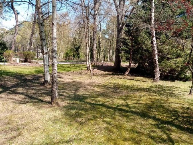Villa Les Lutins Le Touquet エクステリア 写真