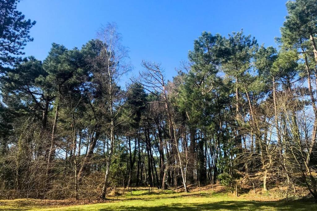 Villa Les Lutins Le Touquet エクステリア 写真