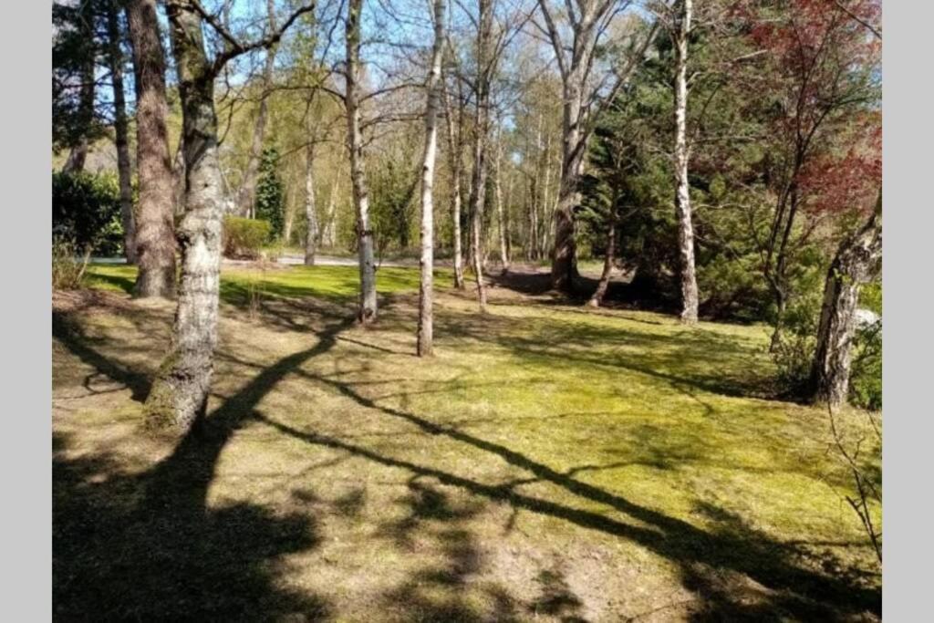 Villa Les Lutins Le Touquet エクステリア 写真